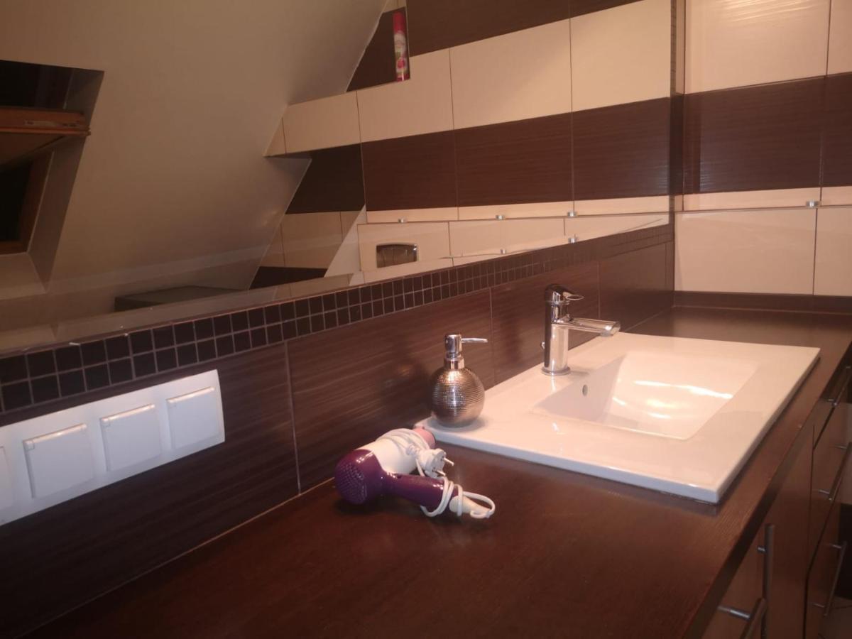 Apartamenty LENA 16 TWOJE poddasze Racibórz Exterior foto