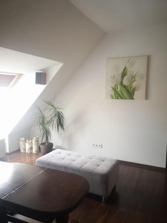 Apartamenty LENA 16 TWOJE poddasze Racibórz Exterior foto